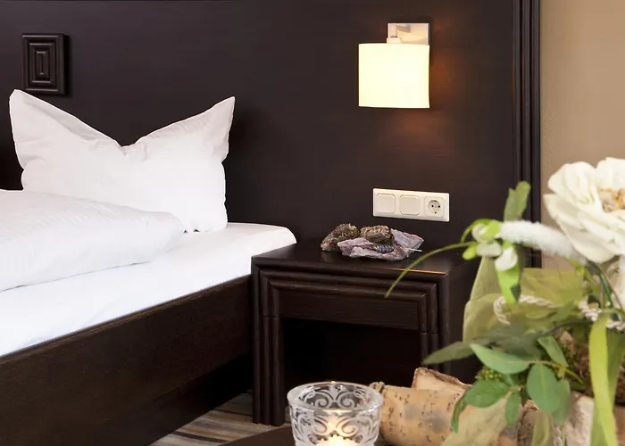 Goebel's Gaestehaus Am Park 3* 빌링겐